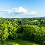 House In Nature With Pool, Pr Matazic Kamnik