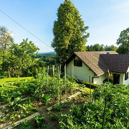 House In Nature With Pool, Pr Matazic