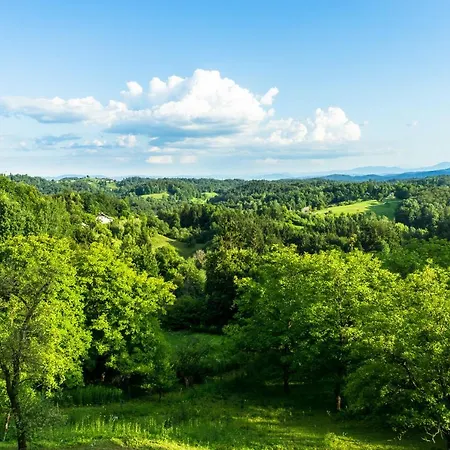 House In Nature With Pool, Pr Matazic Kamnik