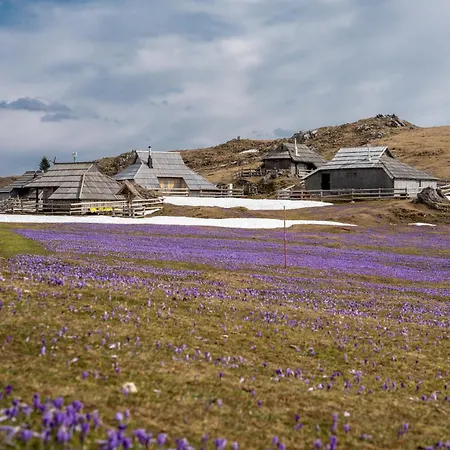 Ferienhaus House In Nature With Pool, Pr Matazic Kamnik