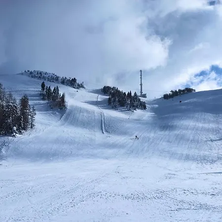 House In Nature With Pool, Pr Matazic