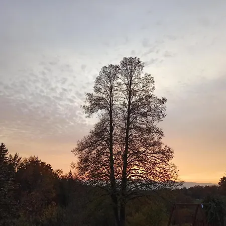 House In Nature With Pool, Pr Matazic Ferienhaus