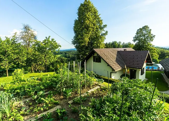 House In Nature With Pool, Pr Matazic