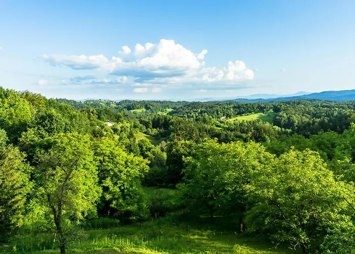 House In Nature With Pool, Pr Matazic Kamnik