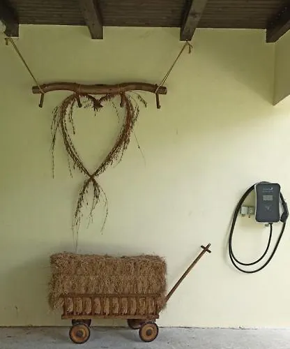 House In Nature With Pool, Pr Matazic