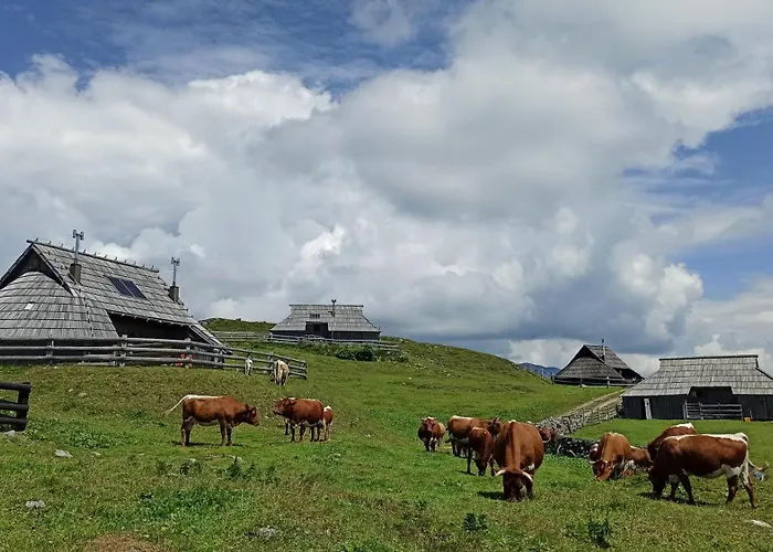 House In Nature With Pool, Pr Matazic