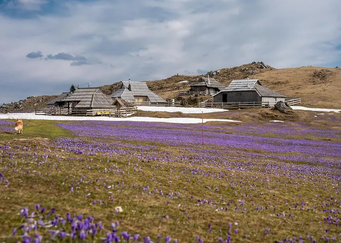 펜션 House In Nature With Pool, Pr Matazic 캄니크