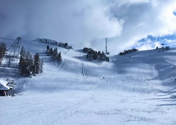 House In Nature With Pool, Pr Matazic