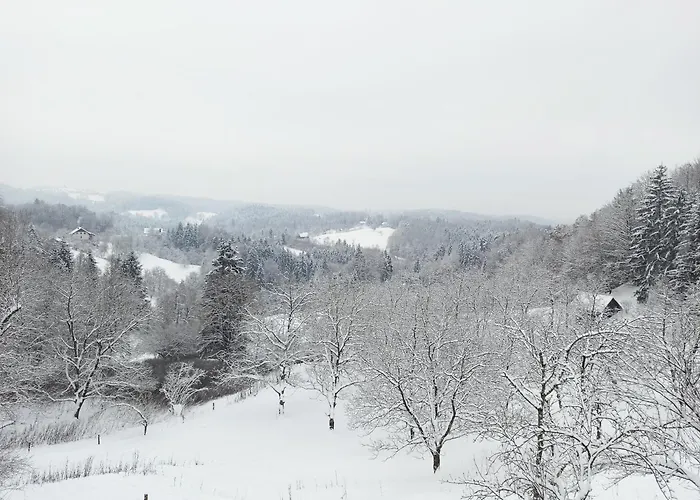 펜션 House In Nature With Pool, Pr Matazic 캄니크