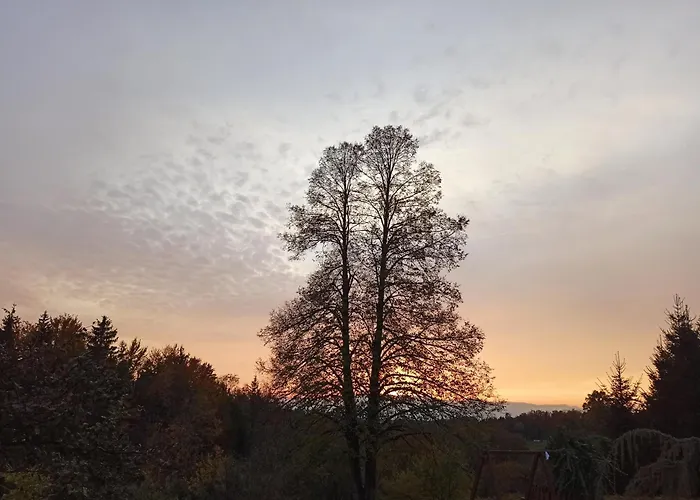 House In Nature With Pool, Pr Matazic 펜션