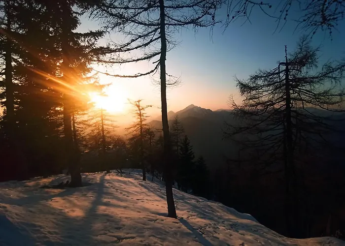 House In Nature With Pool, Pr Matazic